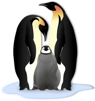 Penguin Animal Bird Stickdatei