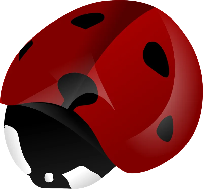Ladybeetle Ladybird beetle Beetle Stickdatei – Tiere