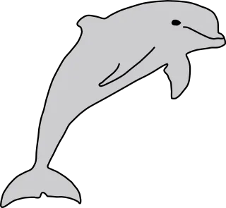 Dolphin Fish Sea life Stickdatei