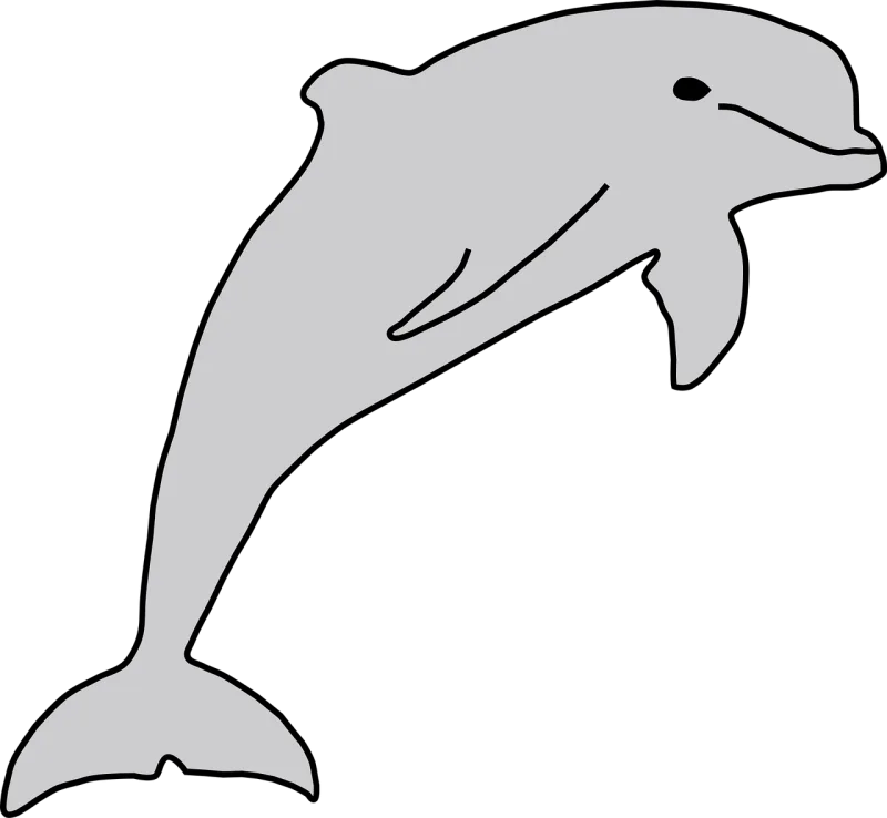 Dolphin Fish Sea life Stickdatei – Tiere