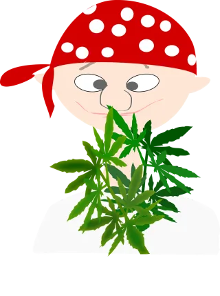 Pirate Boy Avatar Stickdatei – Kinder