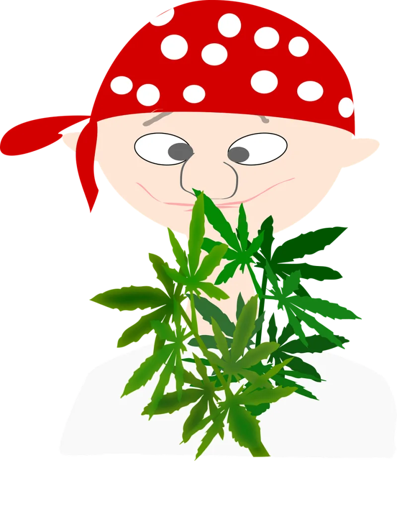 Pirate Boy Avatar Stickdatei – Kinder
