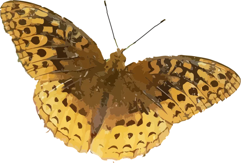 Animal Butterfly Insect Stickdatei – Tiere