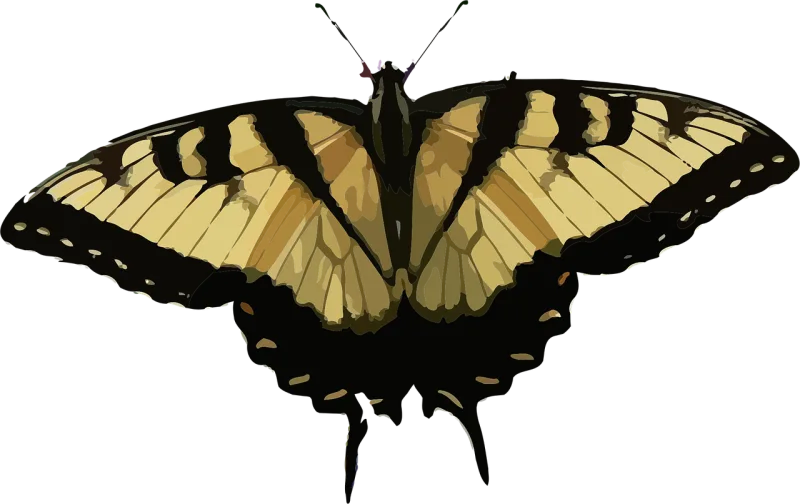 Animal Butterfly Insect Stickdatei – Tiere