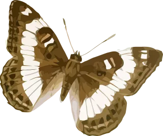 Animal Butterfly Insect Stickdatei