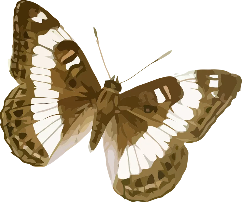 Animal Butterfly Insect Stickdatei – Tiere