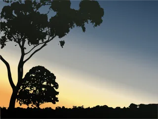 Trees Landscape Park Stickdatei