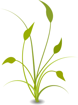 Plant Leaves Nature Stickdatei