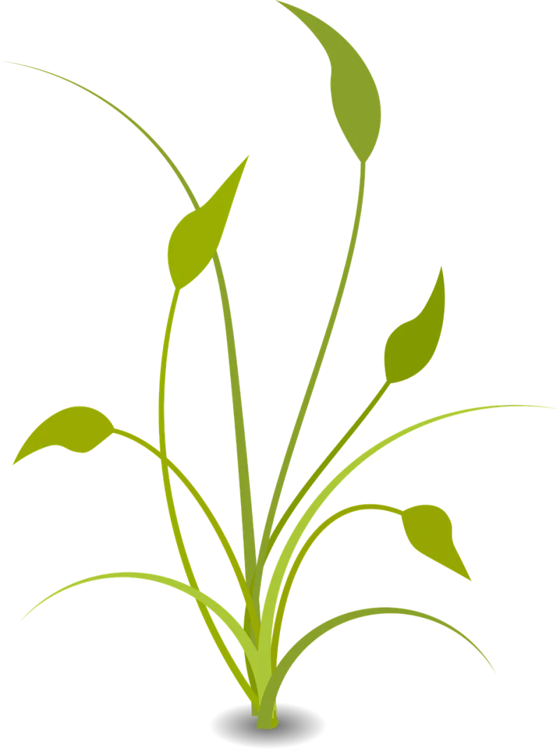 Plant Leaves Nature Stickdatei – Natur