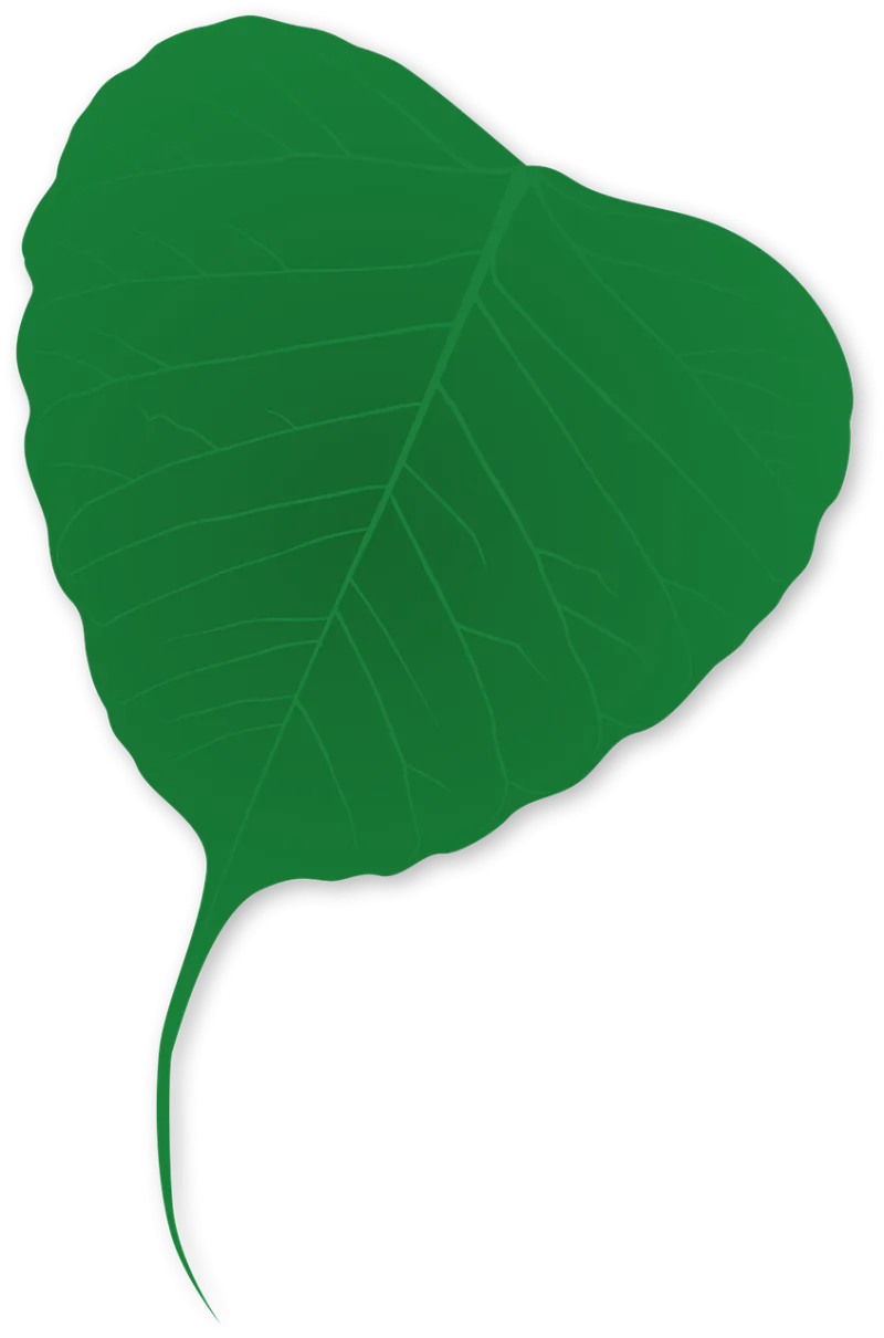 Green Leaf Plant Stickdatei – Natur