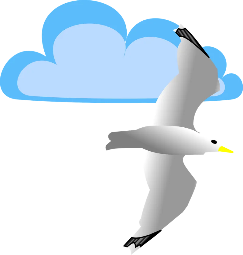 Cloud Seagull Nature Stickdatei – Natur