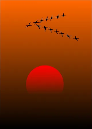 Migratory birds Nature Birds Stickdatei