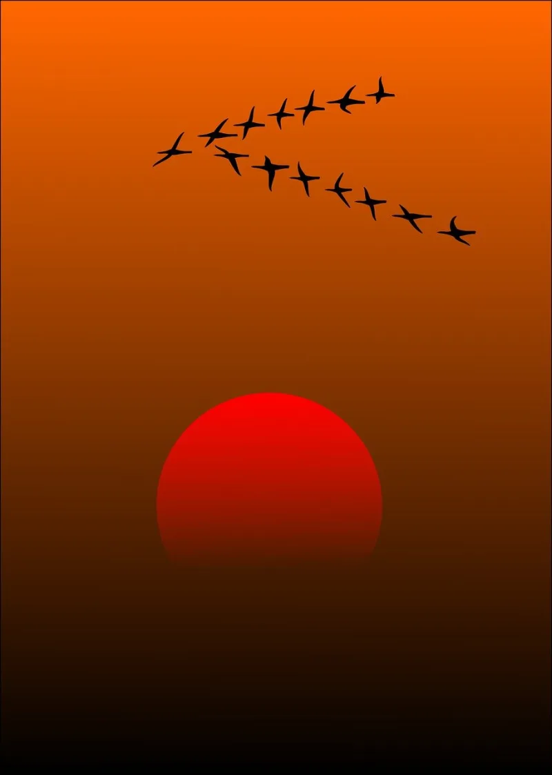 Migratory birds Nature Birds Stickdatei – Natur