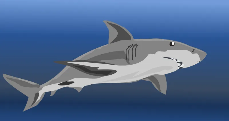 Fish Ocean Shark Stickdatei – Tiere