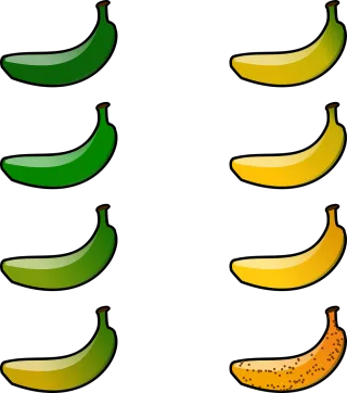 Banana Degree of ripeness Ripeness Stickdatei – Essen & Trinken