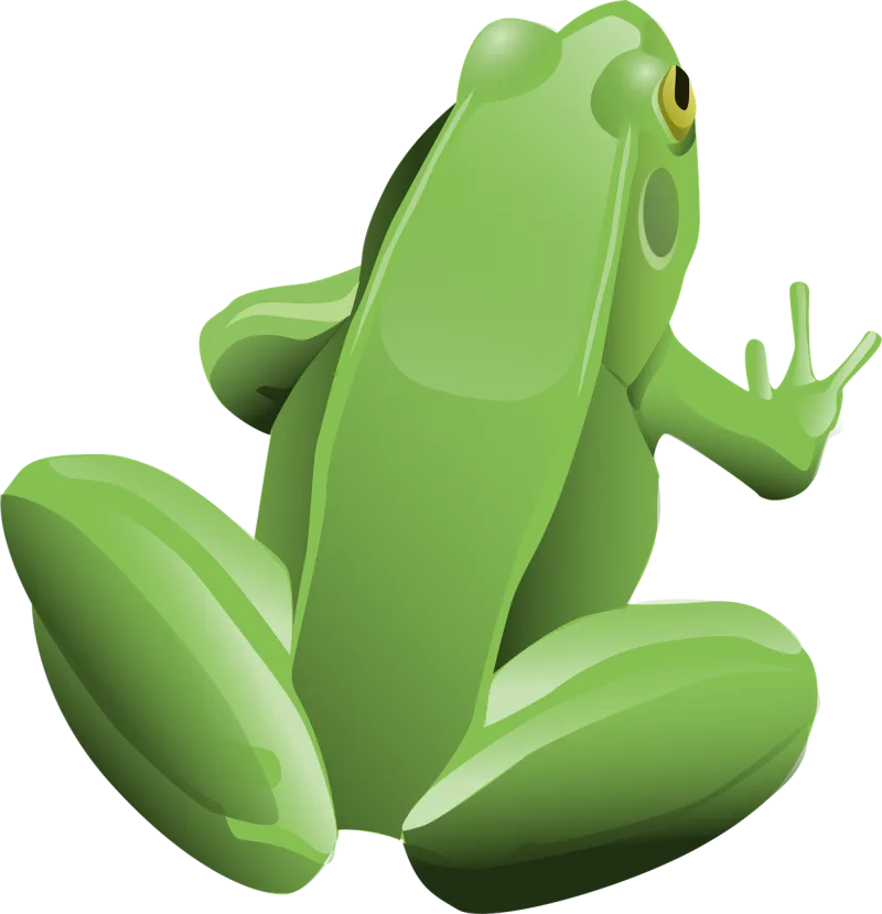 Frog Amphibian Animal Stickdatei – Natur