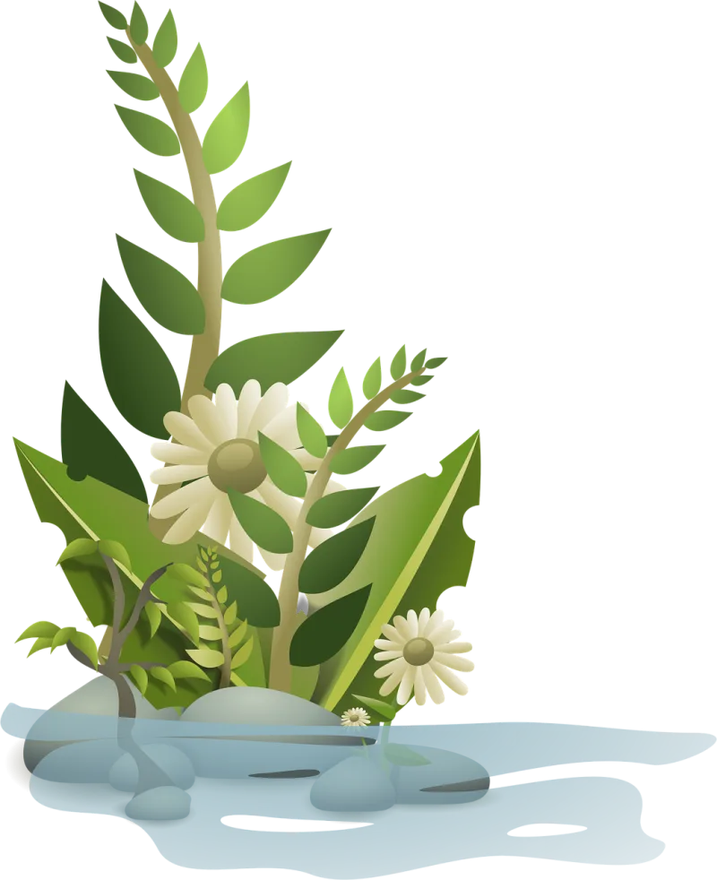Plants Flower background Flower wallpaper Stickdatei – Blumen