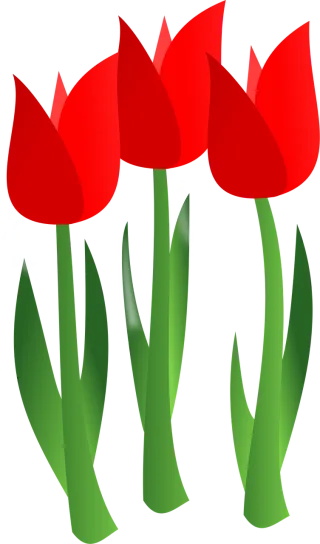 Tulips Flowers Flower background Stickdatei