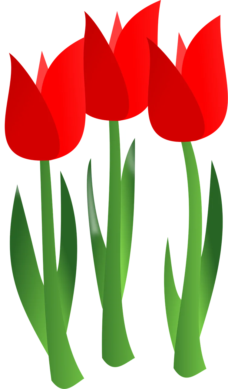 Tulips Flowers Flower background Stickdatei – Blumen