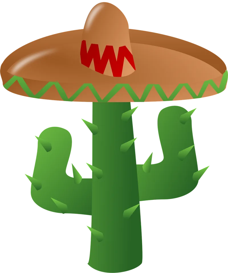 Cactus Sombrero Mexican Stickdatei – Natur