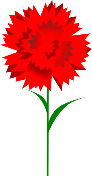 Carnation Nature Flower wallpaper Stickdatei