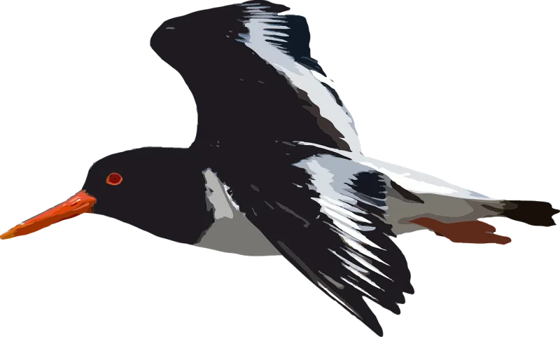 Bird Animal Nature Stickdatei – Tiere