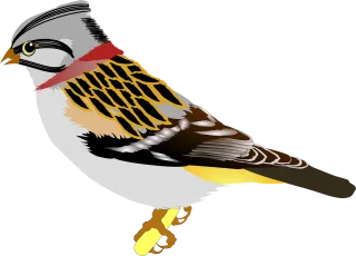 Bird Sparrow Ave Stickdatei