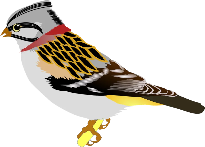 Bird Sparrow Ave Stickdatei – Tiere