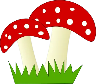 Fly Agaric Fungus Stickdatei