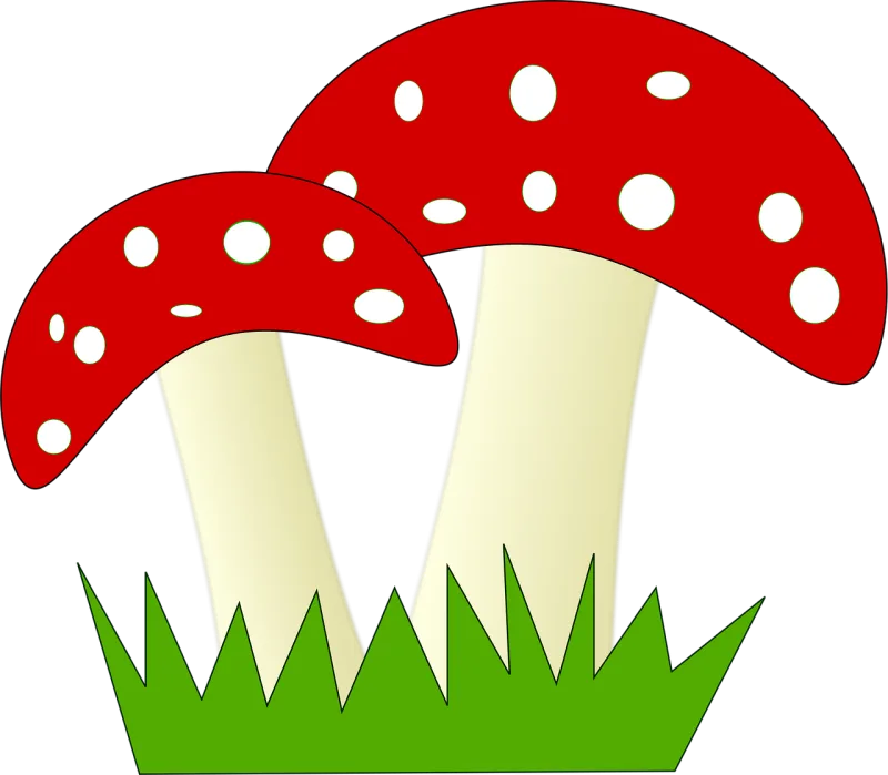 Fly Agaric Fungus Stickdatei – Natur