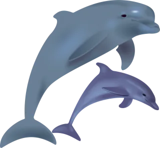 Dolphins Fish Sea life Stickdatei