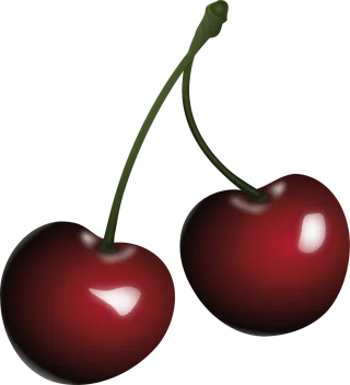 Cherries Fruit Food Stickdatei