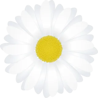 Marguerite Nature Flower background Stickdatei