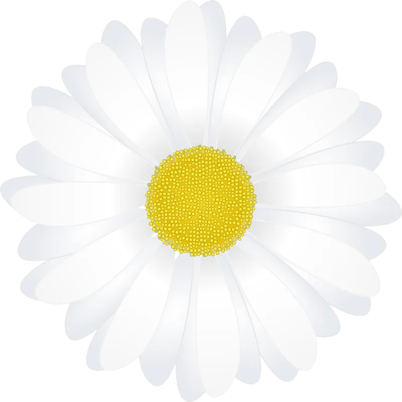 Marguerite Nature Flower background Stickdatei – Blumen