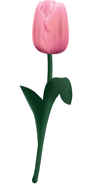 Rose Rose flower Nature Stickdatei