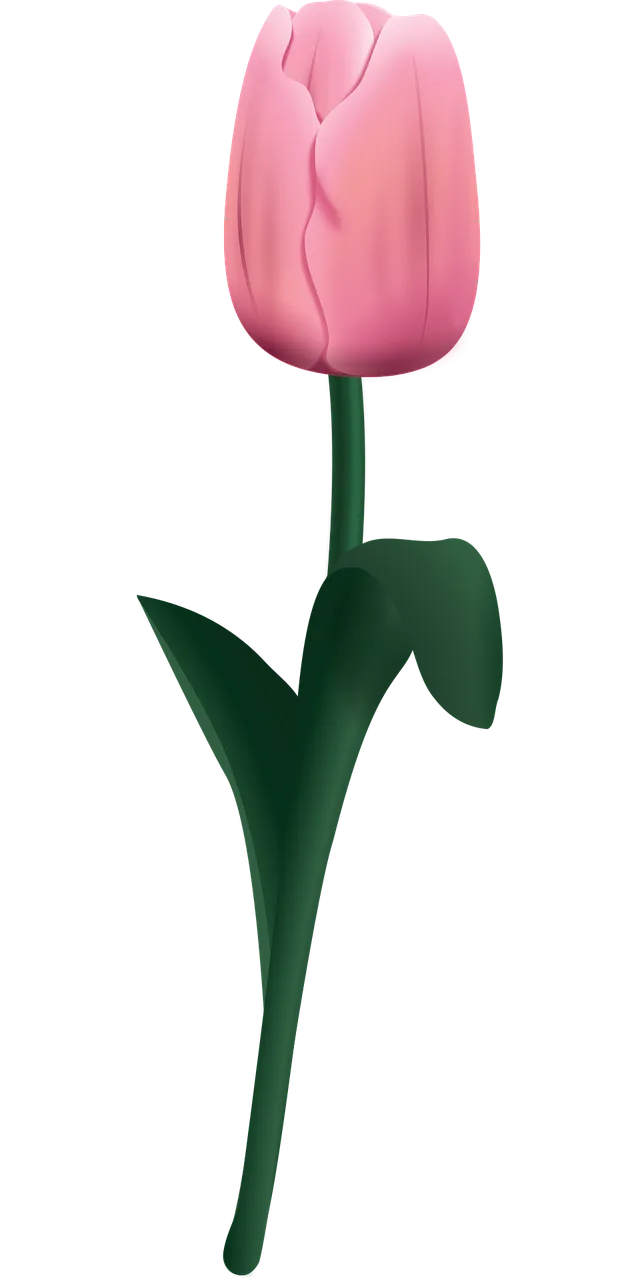 Rose Rose flower Nature Stickdatei – Blumen
