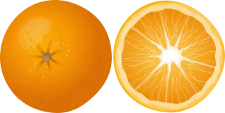 Orange Fruit Food Stickdatei