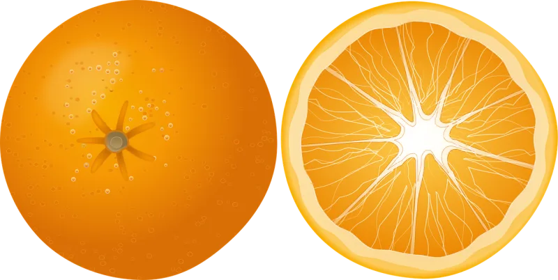 Orange Fruit Food Stickdatei – Essen & Trinken