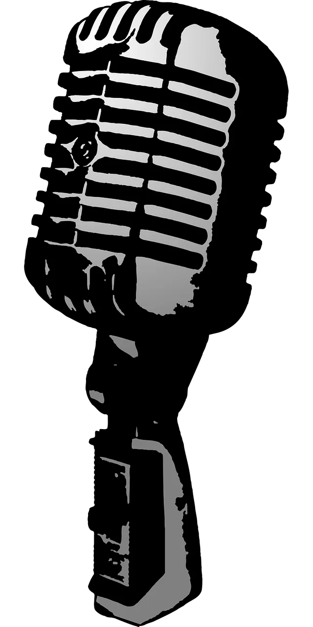 Mic Microphone Audio Stickdatei – Musik