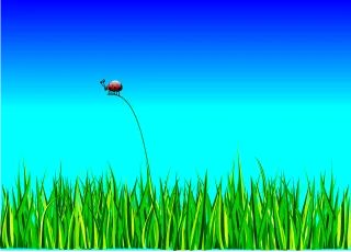 Ladybug Bug Grass Stickdatei