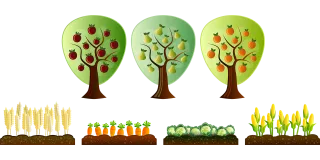 Farm Field Plantation Stickdatei – Essen & Trinken