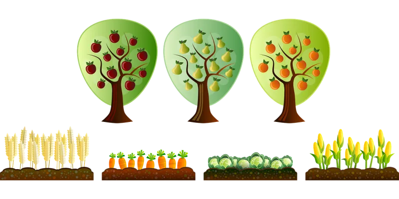 Farm Field Plantation Stickdatei – Essen & Trinken