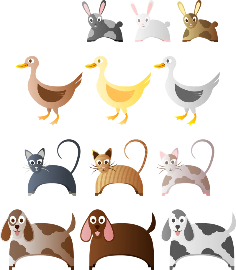 Animals Bunny Animal Stickdatei – Tiere