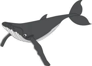 Whale Animal Nature Stickdatei