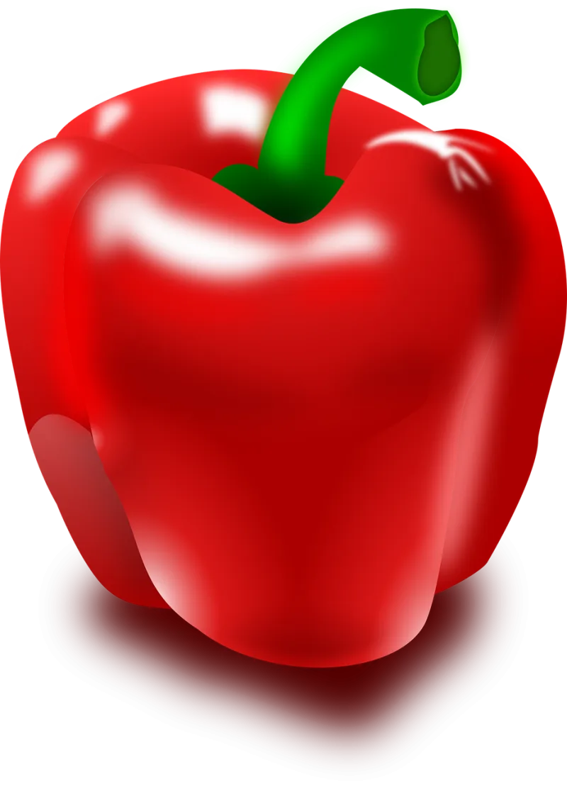 Pepper Capsicum Vegetable Stickdatei – Weihnachten