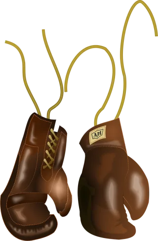 Boxing Equipment Gloves Stickdatei