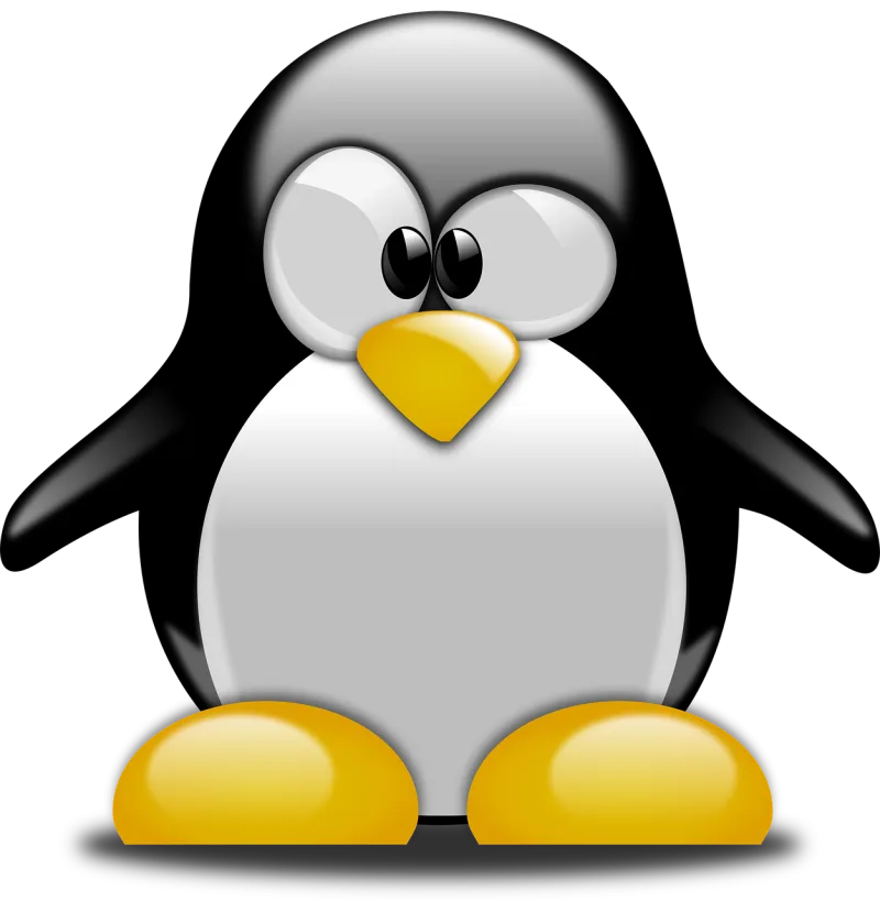 Penguin Confused Cartoon Stickdatei – Tiere