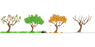 Seasons Four seasons Tree Stickdatei