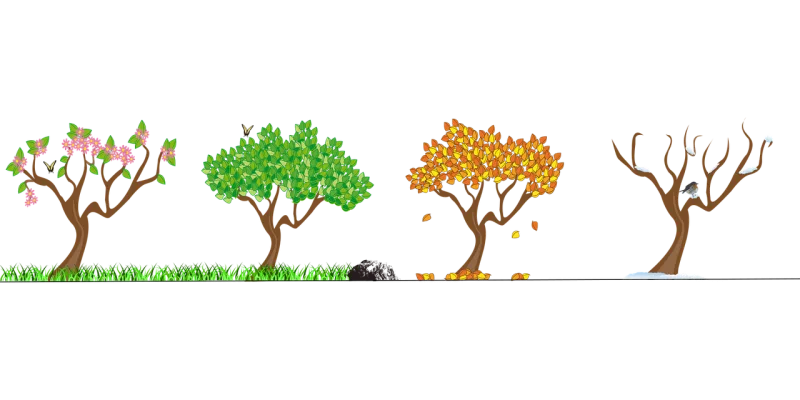 Seasons Four seasons Tree Stickdatei – Weihnachten