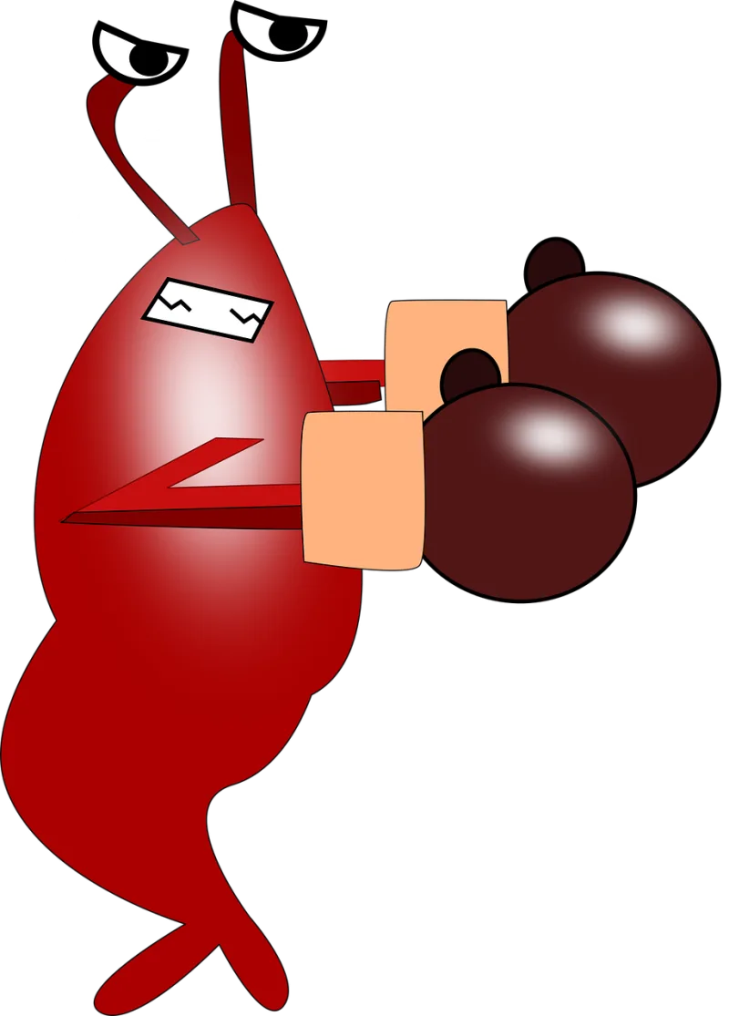 Animal Boxing Seafood Stickdatei – Sport